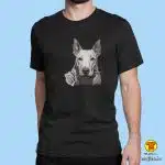 00627-maj-BULLTERRIER plava