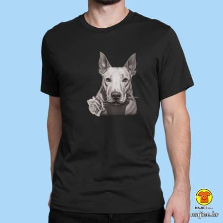 BULLTERRIER | majica s natpisom