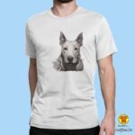 00627-maj-BULLTERRIER-plava.jpg